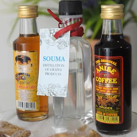 דירה Theros Lux Émbonas